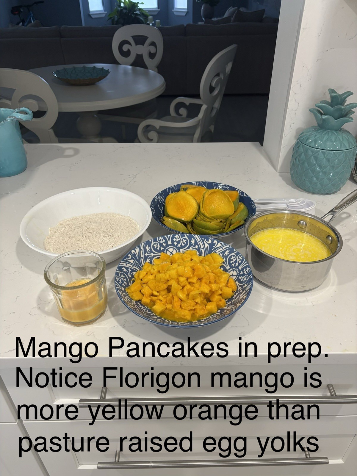 2 Yrs To Fruit Mango Tree Clone Polyembryonic 4 Seeds NO GRAFTED NEEDED