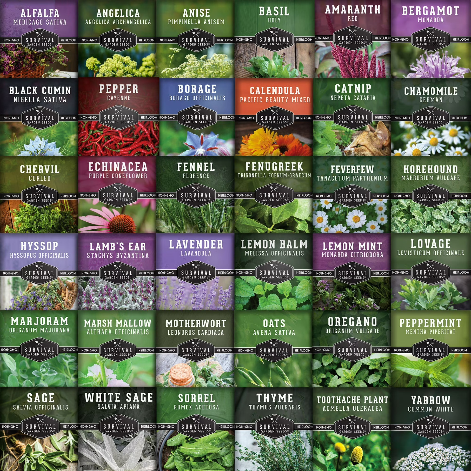Herb Seeds 32 Medicinal Herbs and Tea Variety Pack – Annual & Perennial Herb …