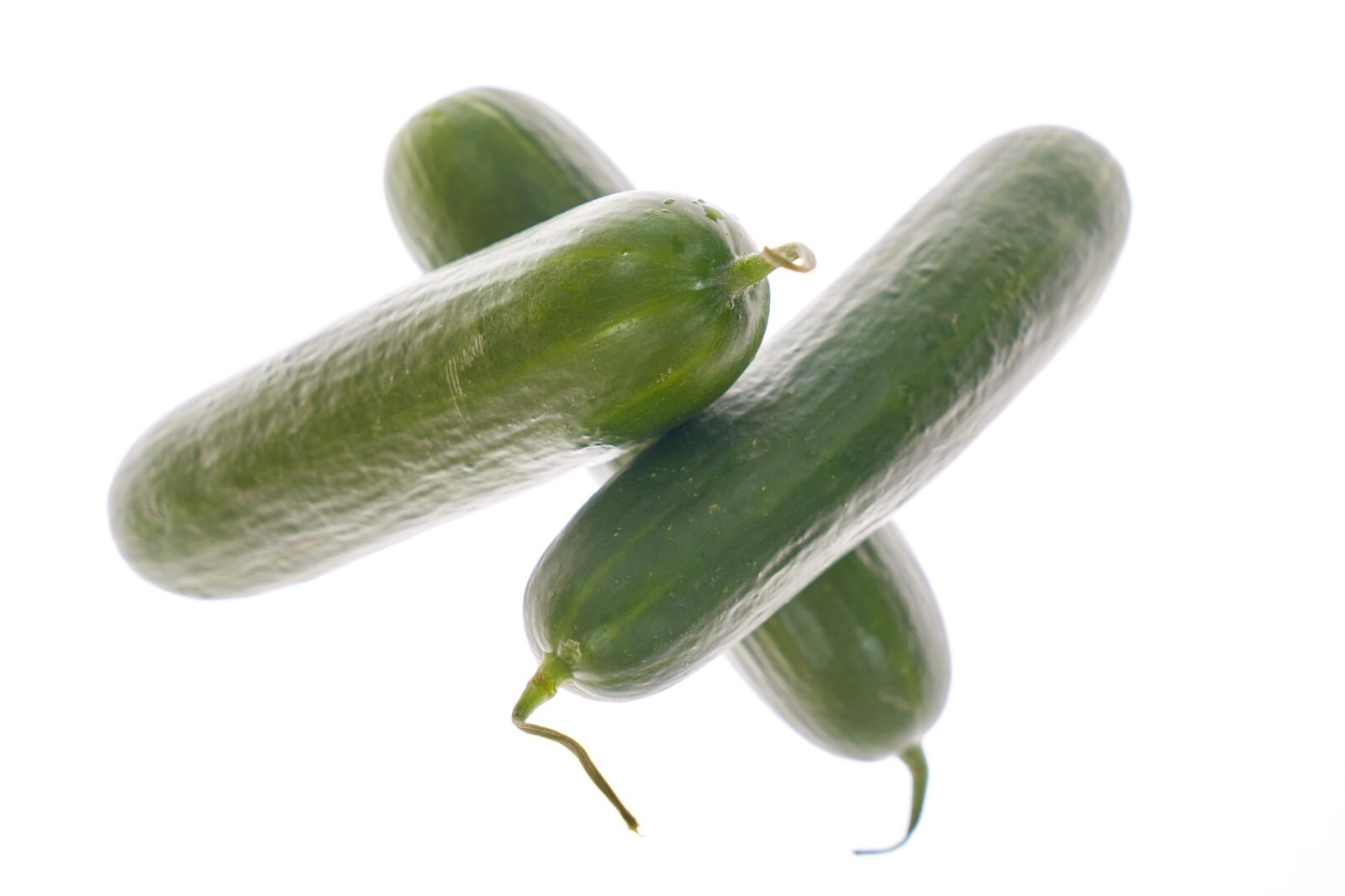 Cucumber Marketmore Vegetable Seeds 30 Seed Pack