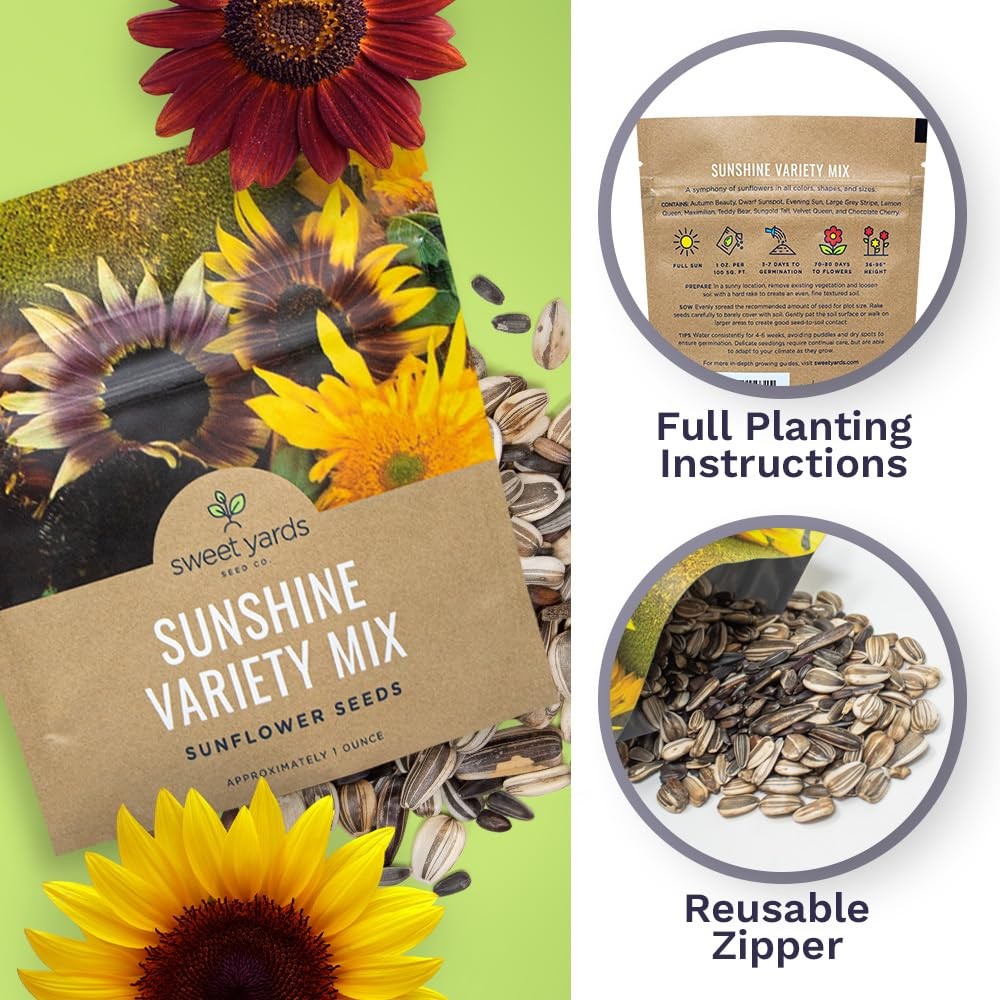 Bulk Sunflower Seed Mix 10 Open Pollinated Varieties, 1 Ounce Packet