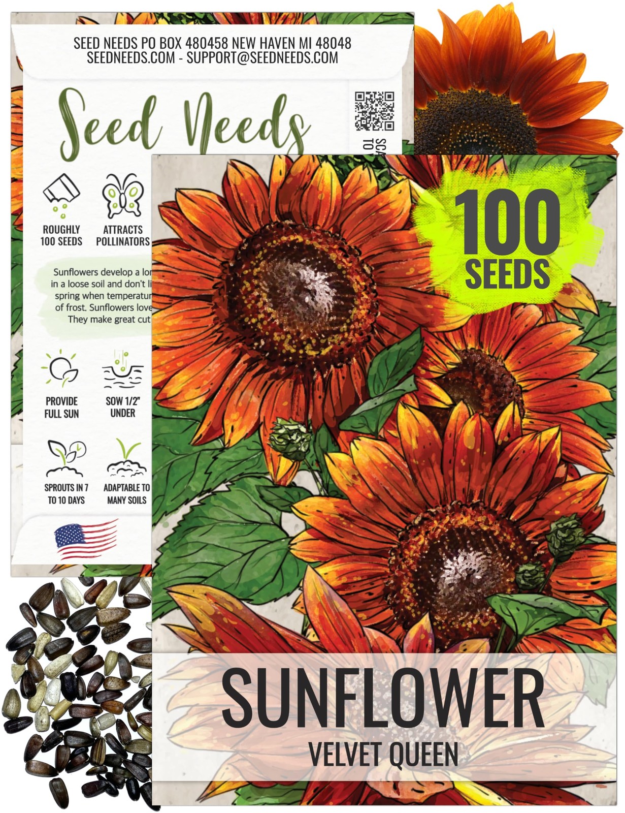 Seed Needs, Velvet Queen Sunflower Seeds – 100 1 Pack (100 Seeds), Orange