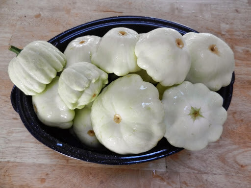 Bennings Green Tint Squash Seeds, Non GMO – Heirloom, A GARDEN FAVORITE
