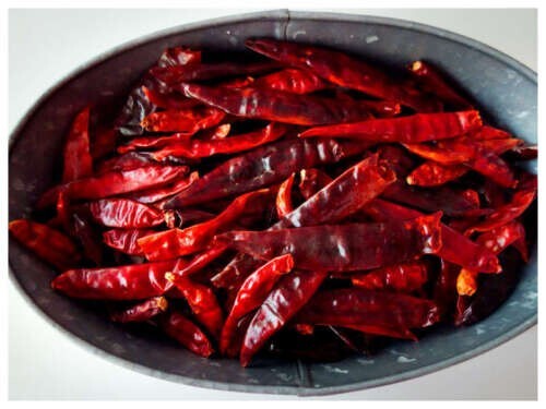 Indian Jwala Red Spicy Chili Pepper 25-Seeds Organically Grown Hot Peppers