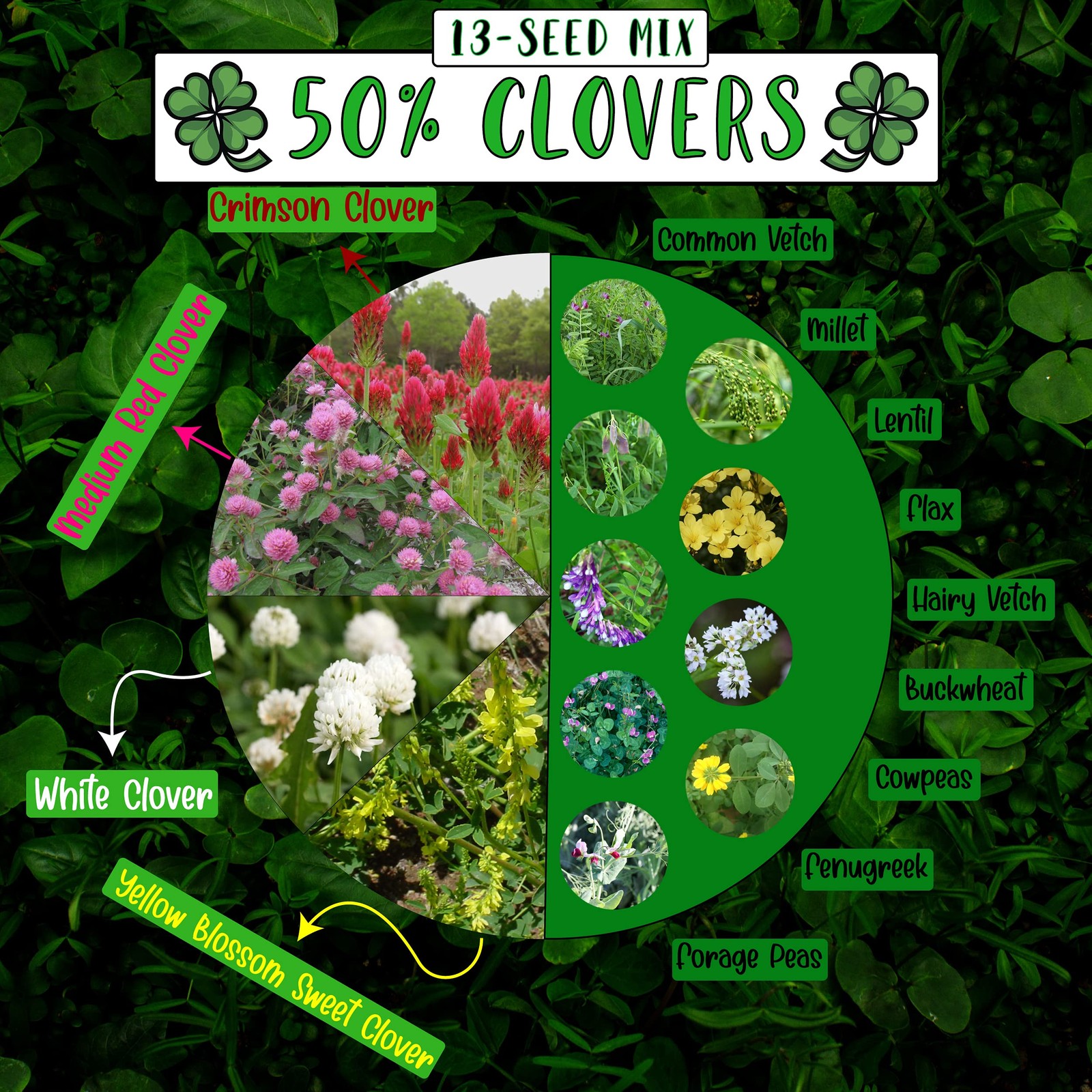 Notill Cover Crop 13seed Mix 1 Lb. Bag 50 Clovers Plus Fenugreek Vetch Flax