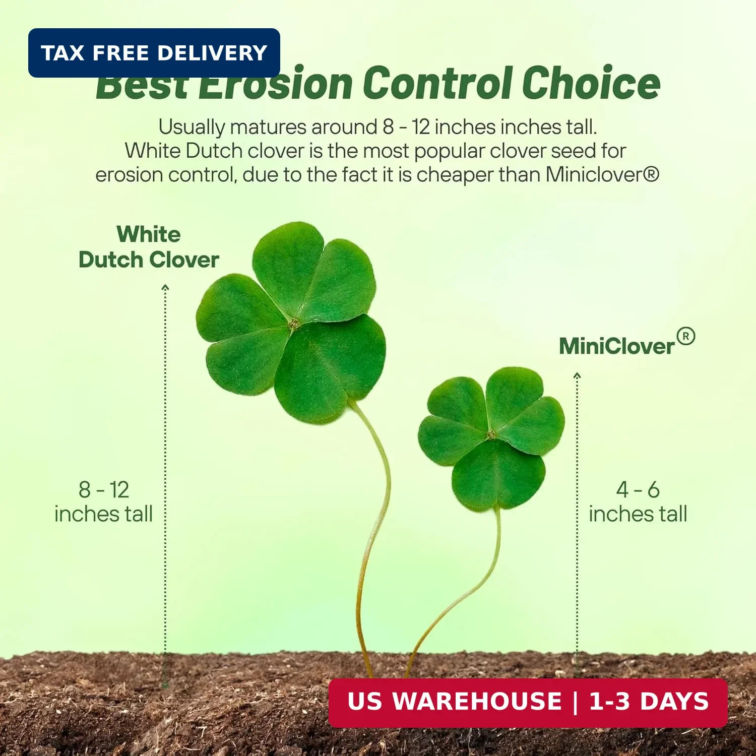 Outsidepride Perennial White Dutch Clover Seed – 5 lbs. Nitrocoated, Inoculated