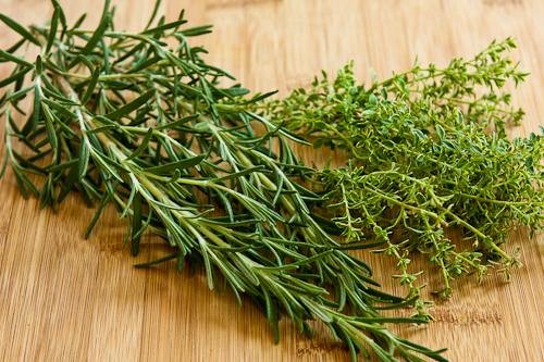 Thyme Seeds | For Planting Common German Basil Herb Garden Seed 2024