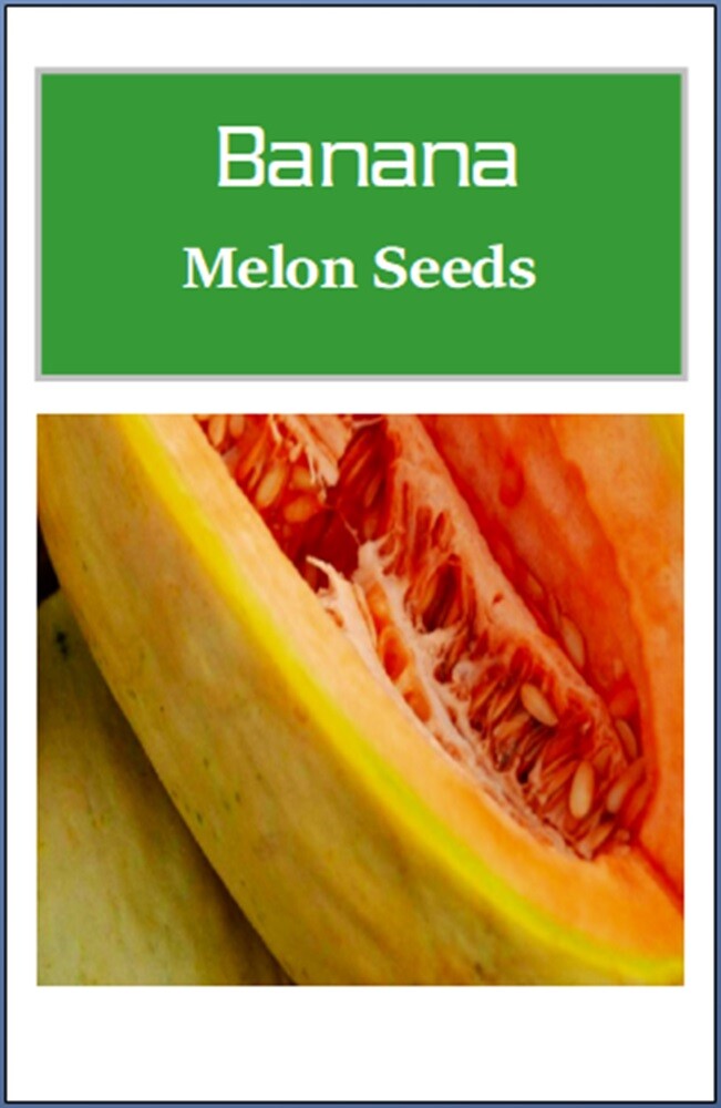 Banana Melon Seeds | NON-GMO | Heirloom | Fresh Garden Seeds