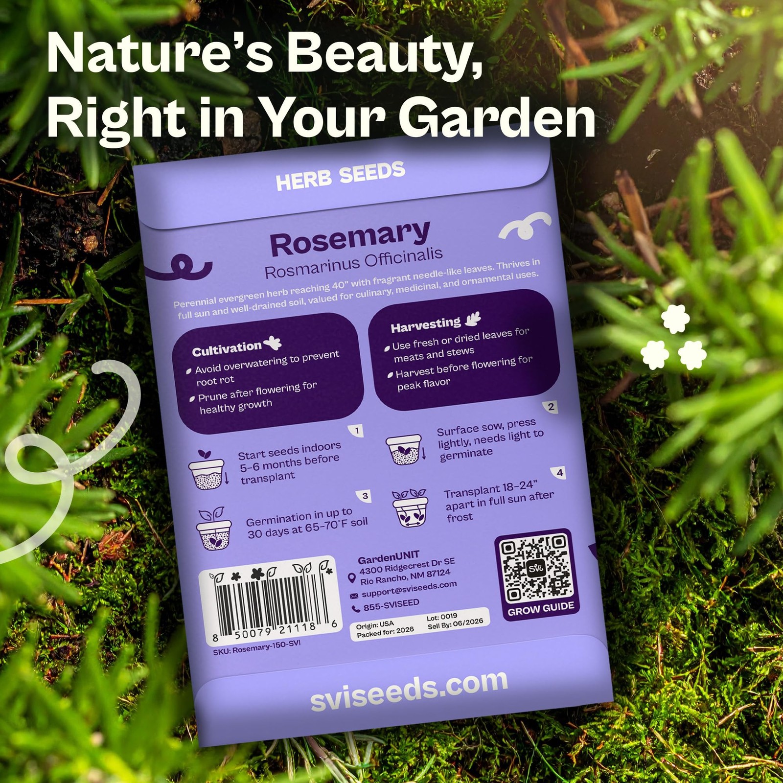 150 Rosemary Seeds for Planting Rosmarinus officinalis – Aromatic Herbs, Harv…