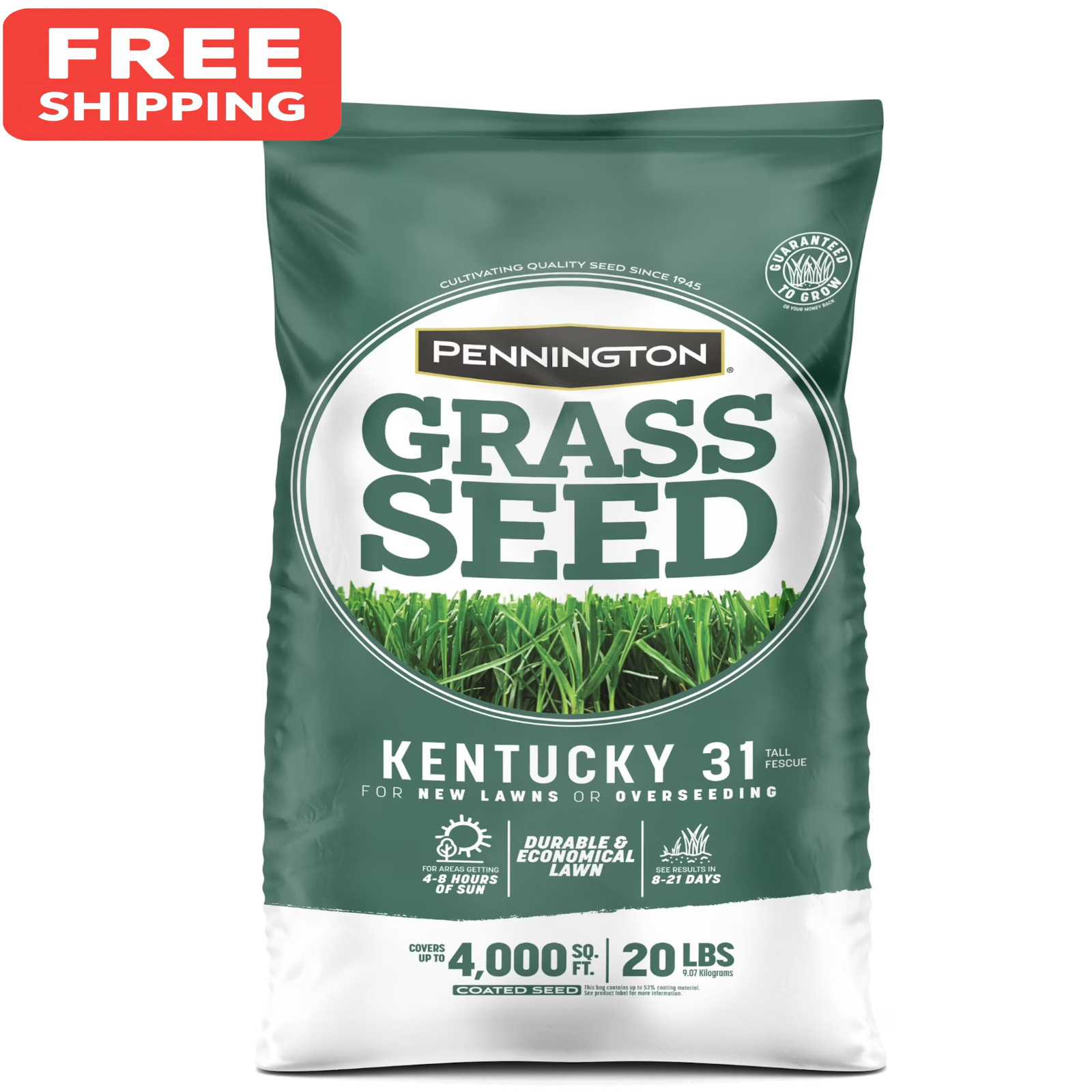 Pennington Kentucky 31 Tall Fescue Grass Seed 20 lb Sun & Shade Lawn Seed