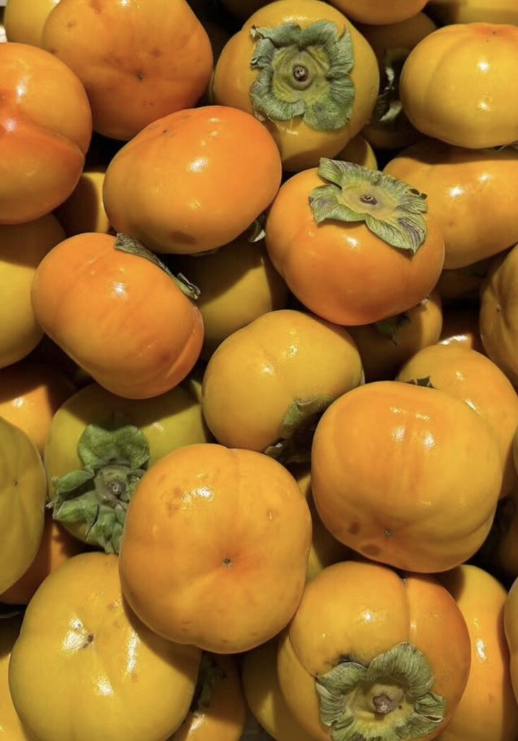Fresh Organic Fuyu Persimmon 6 LBS