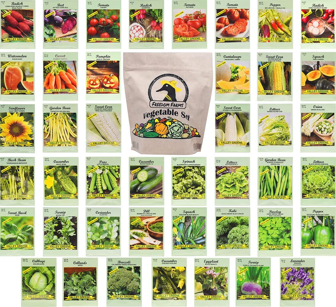 Set of 43 Assorted Vegetable & Herb Seed Packets – Over 10,000 Seeds! – Green