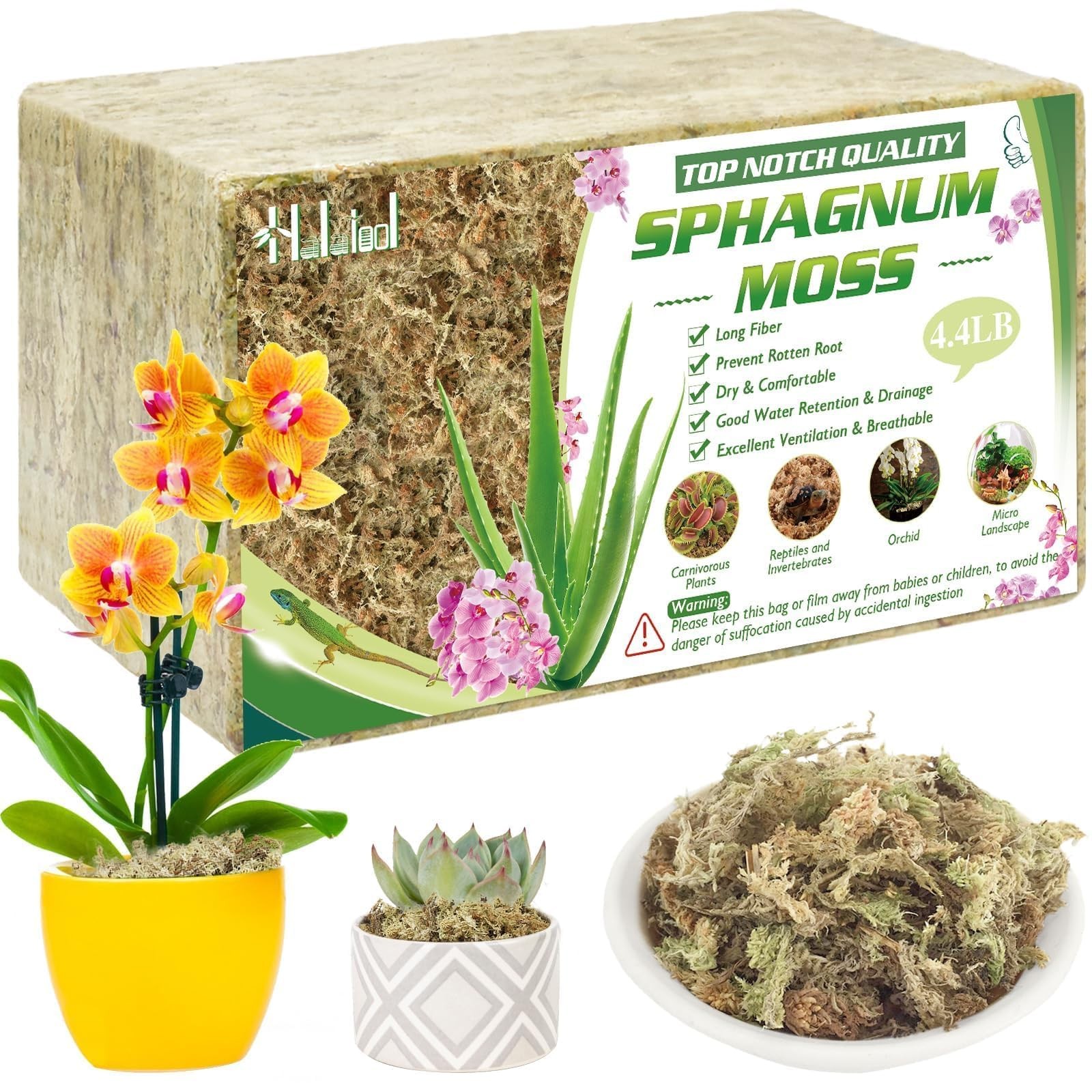 Halatool 4.4LBS Natural Sphagnum Moss for 85 qt (4.4 lbs), yellow and green