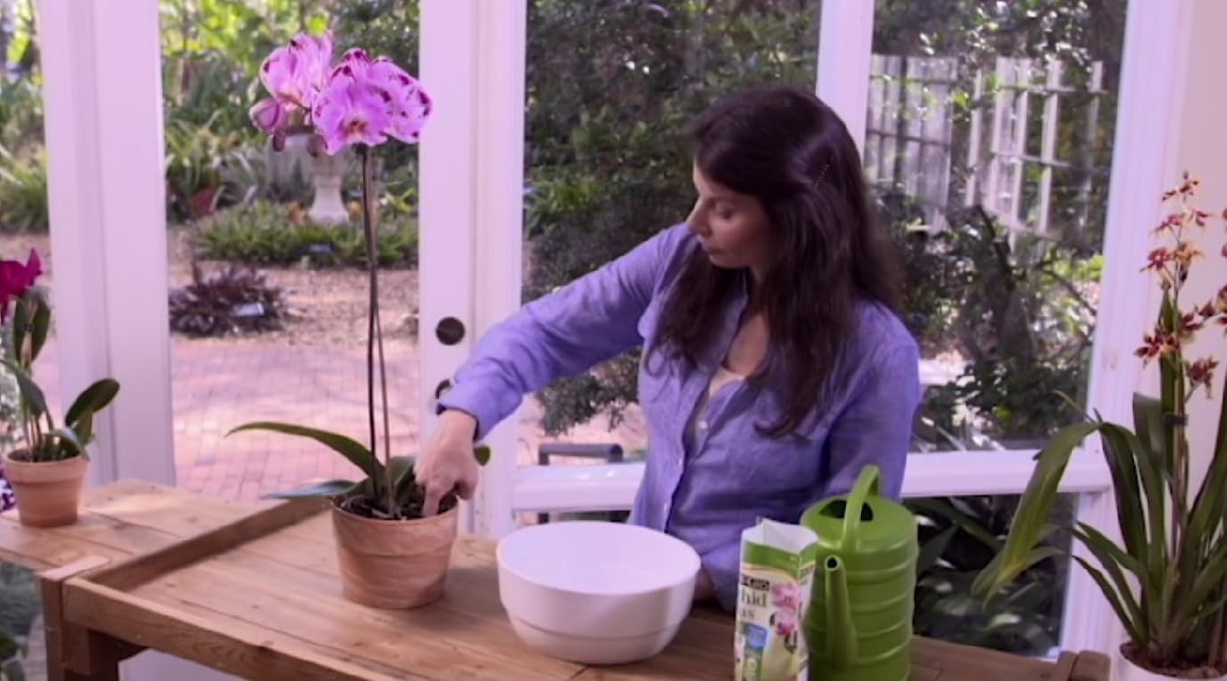 Sun Bulb 5011 Better-Gro Phalaenopsis Orchid Mix 8 Quarts