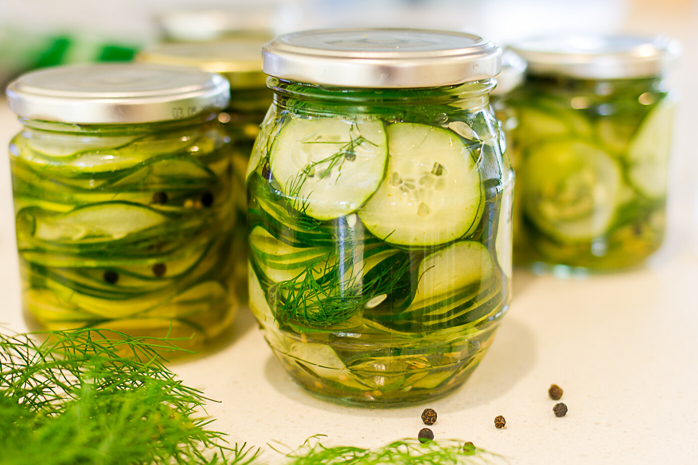 Boston Pickling Cucumber Seeds Heirloom NON GMO Fresh Seeds for Your Garden