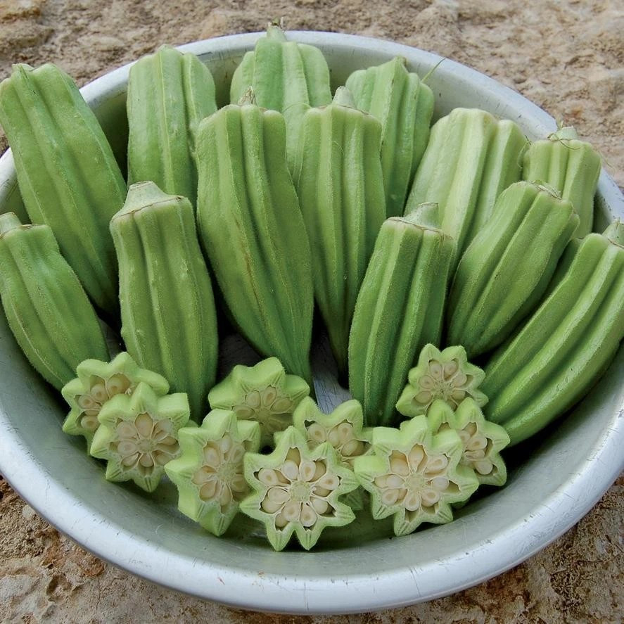 100+ Okra Seeds – Star Of David ——— Old World Variety