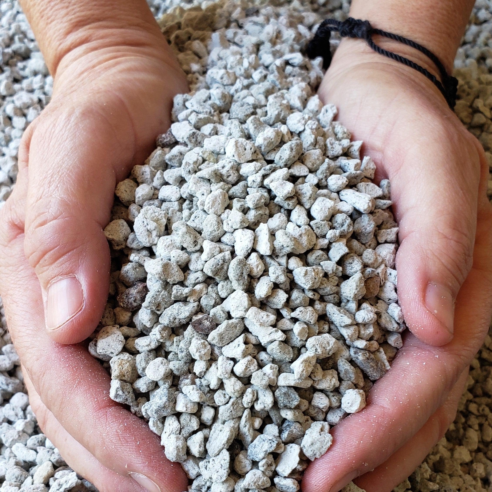 2 Quarts 1/4 Pumice Rock Horticultural Cactus Succulent Bonsai Amendment cactus
