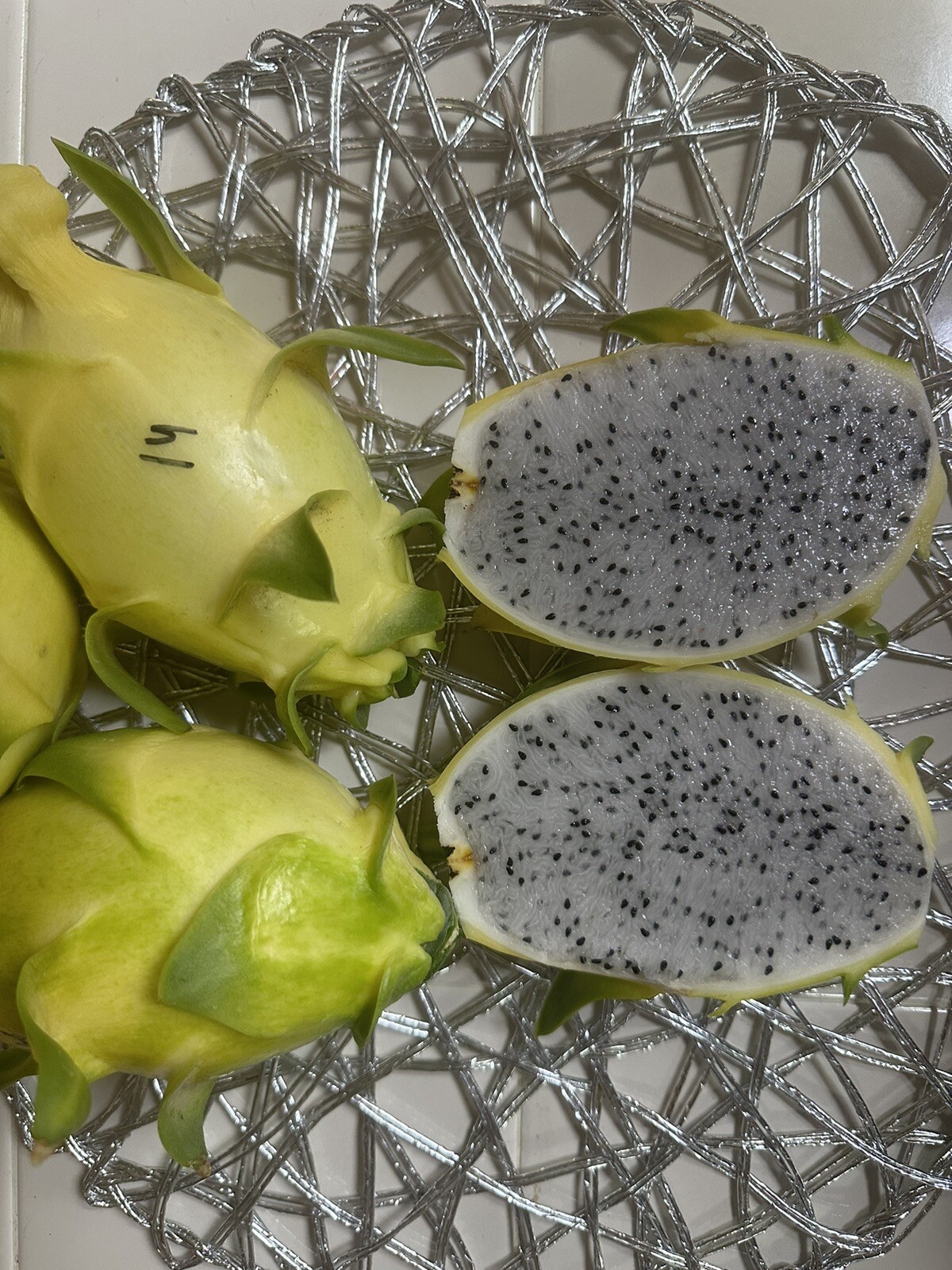 Dragon Fruit “Israel Yellow” CUTTINGS 8-12 Inches