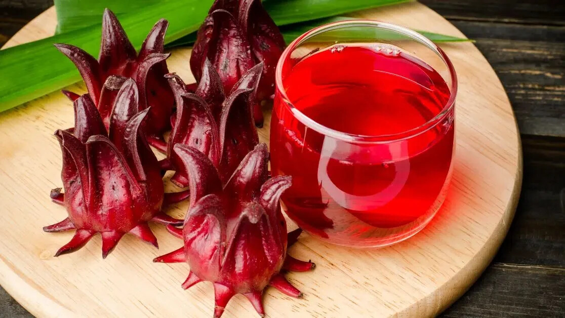 25+Roselle Seeds Asian Sour Leaf Red Sorrell Florida Cranberry Jamaican Tea USA
