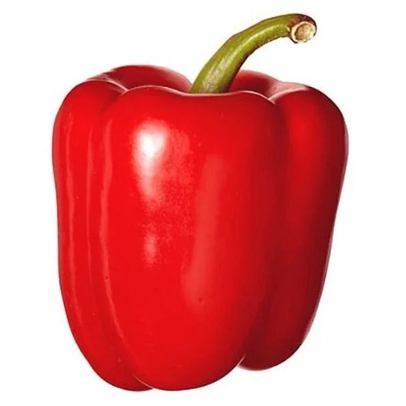 50+ Premium Big Red Sweet Bell Pepper Seeds – Very Sweet When Fresh #10