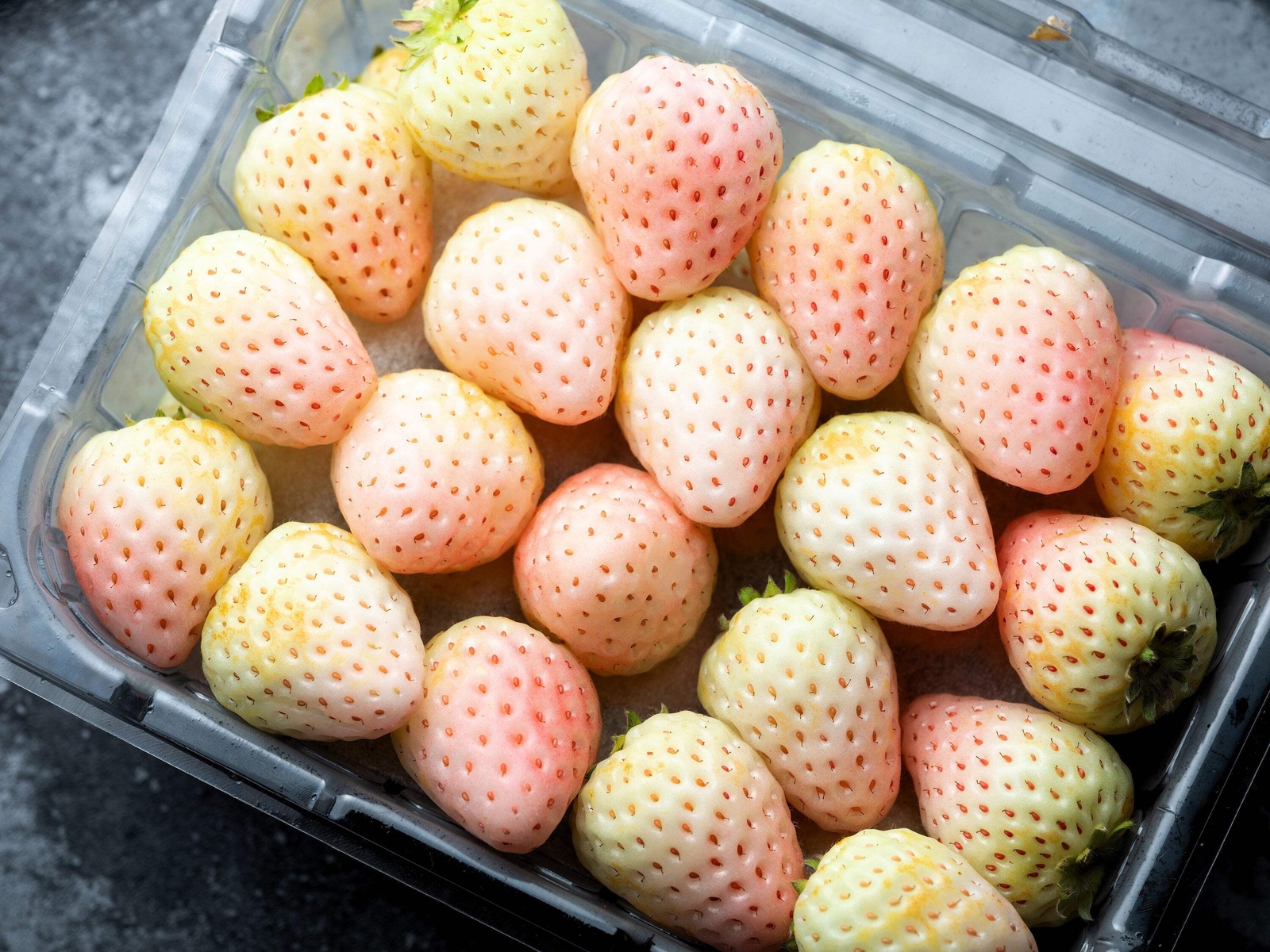 100 WHITE SOUL STRAWBERRY Fragaria Vesca Fruit Flower Berry Seeds *Comb S/H