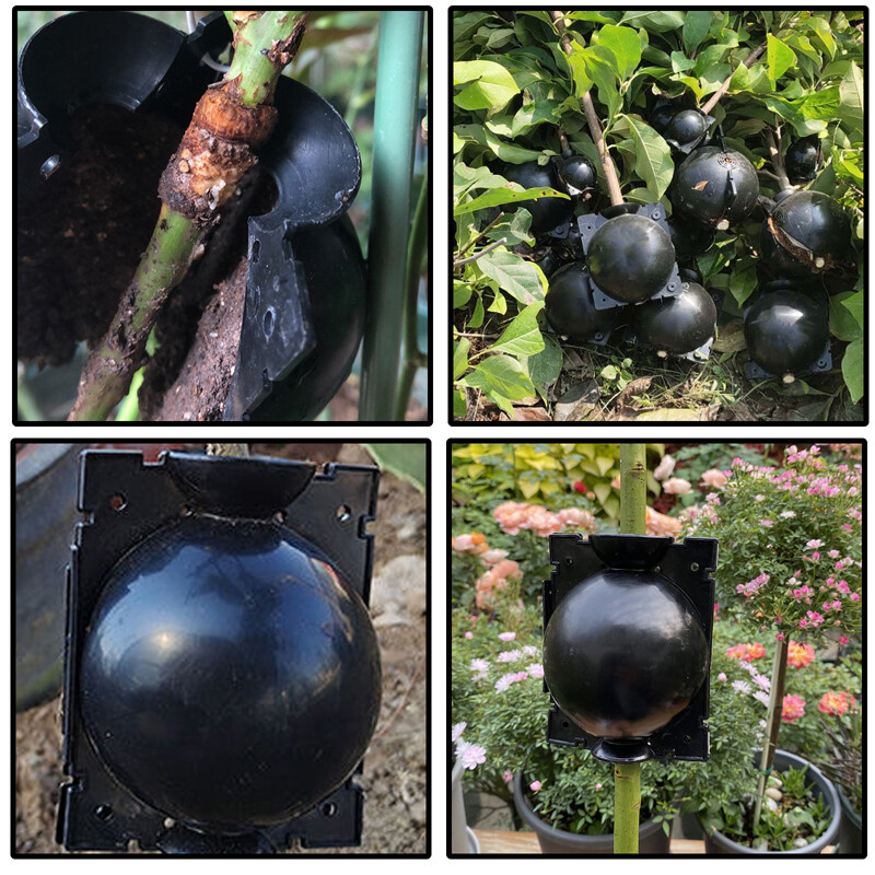 Tree Root Growing Box Rooting Ball Grafting Tool High Pressure Plant Propagation