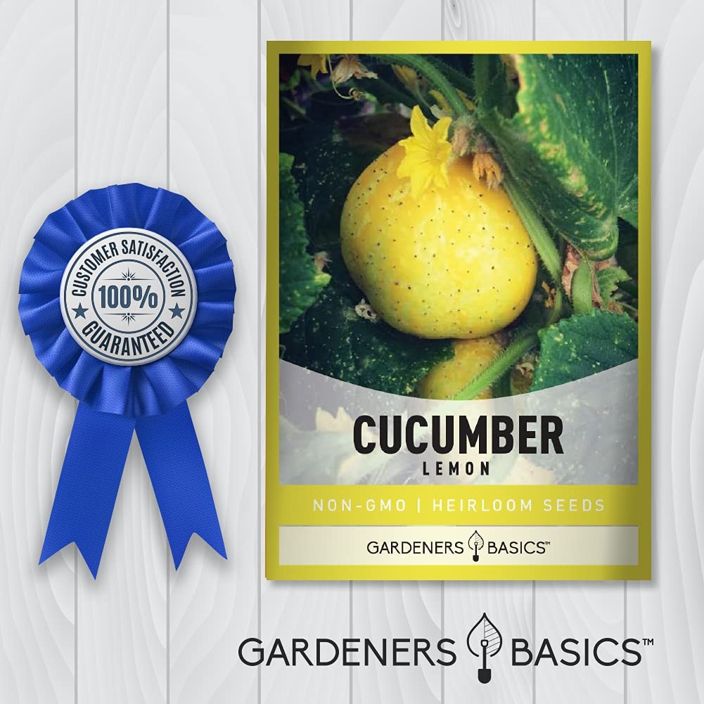 Lemon Cucumber Seeds for Planting (Cucumis sativus) Heirloom, Non-GMO Vegetab…