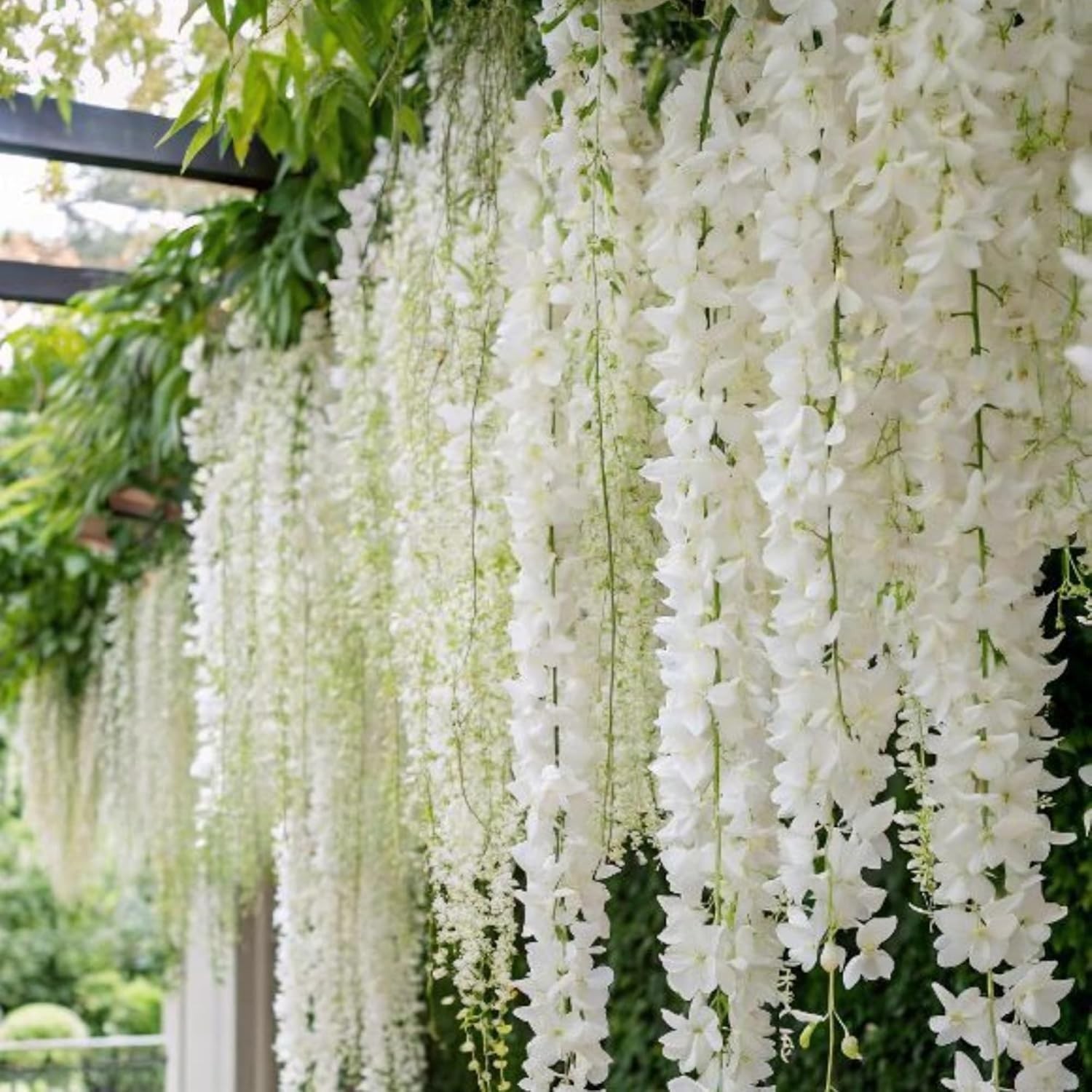 400+ Climbing Weeping Jasmine Flower Seeds for Planting Fragrant Plant Seeds Fou
