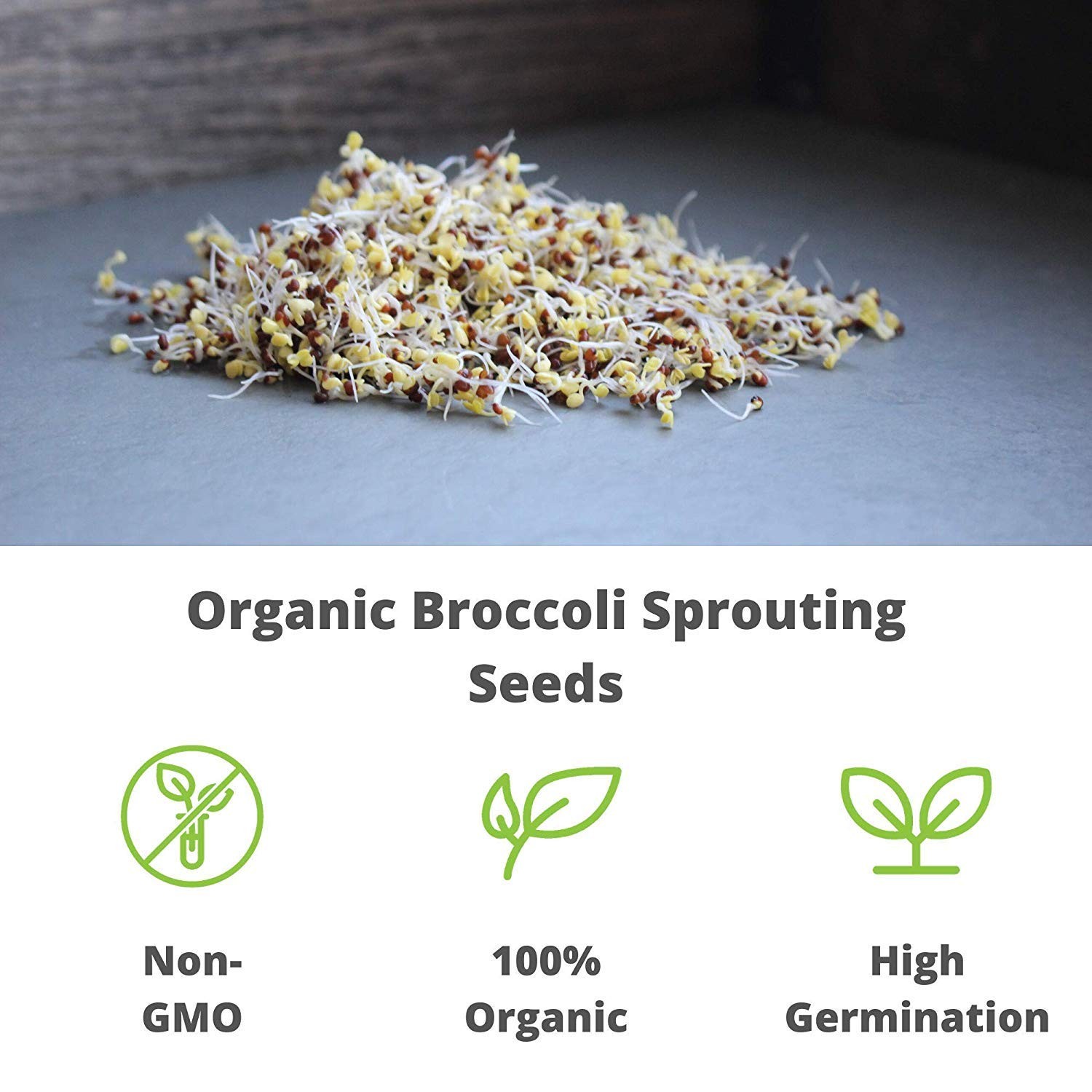 Organic Broccoli Sprouting Seeds 8 Oz High Sulforaphane Superfood Non Gmo