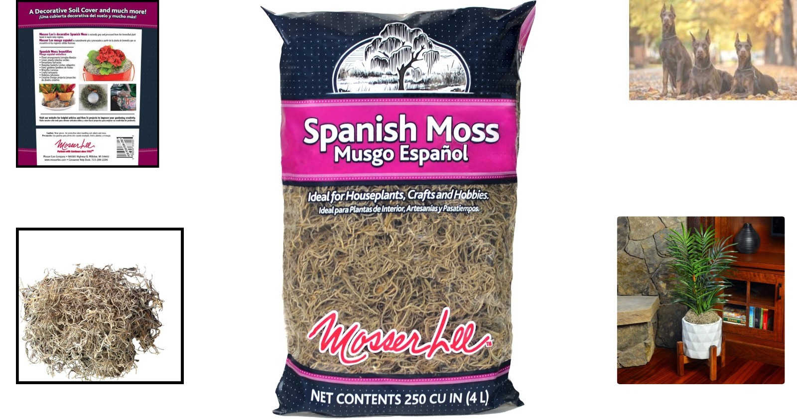 Eco-Friendly 250 Cu. In. Spanish Moss – Decorative Cover for Interior Plants