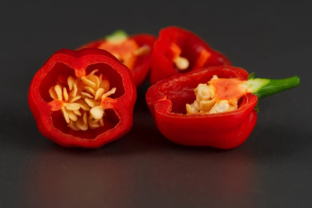 Aji Dulce Cachucha Sweet seasoning pepper popular in Puerto Rico, Latin America