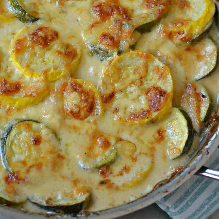 Golden Zucchini Squash Seed NON GMO – Heirloom, BRIGHT, BEAUTIFUL, & FLAVORFUL