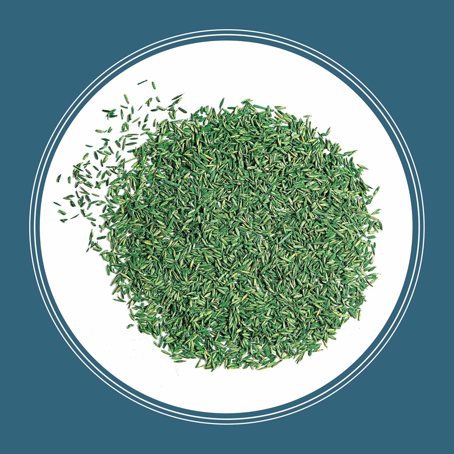 Pennington Smart Seed Northeast Mix, Includes Kentucky Bluegrass, Fine Fescues,