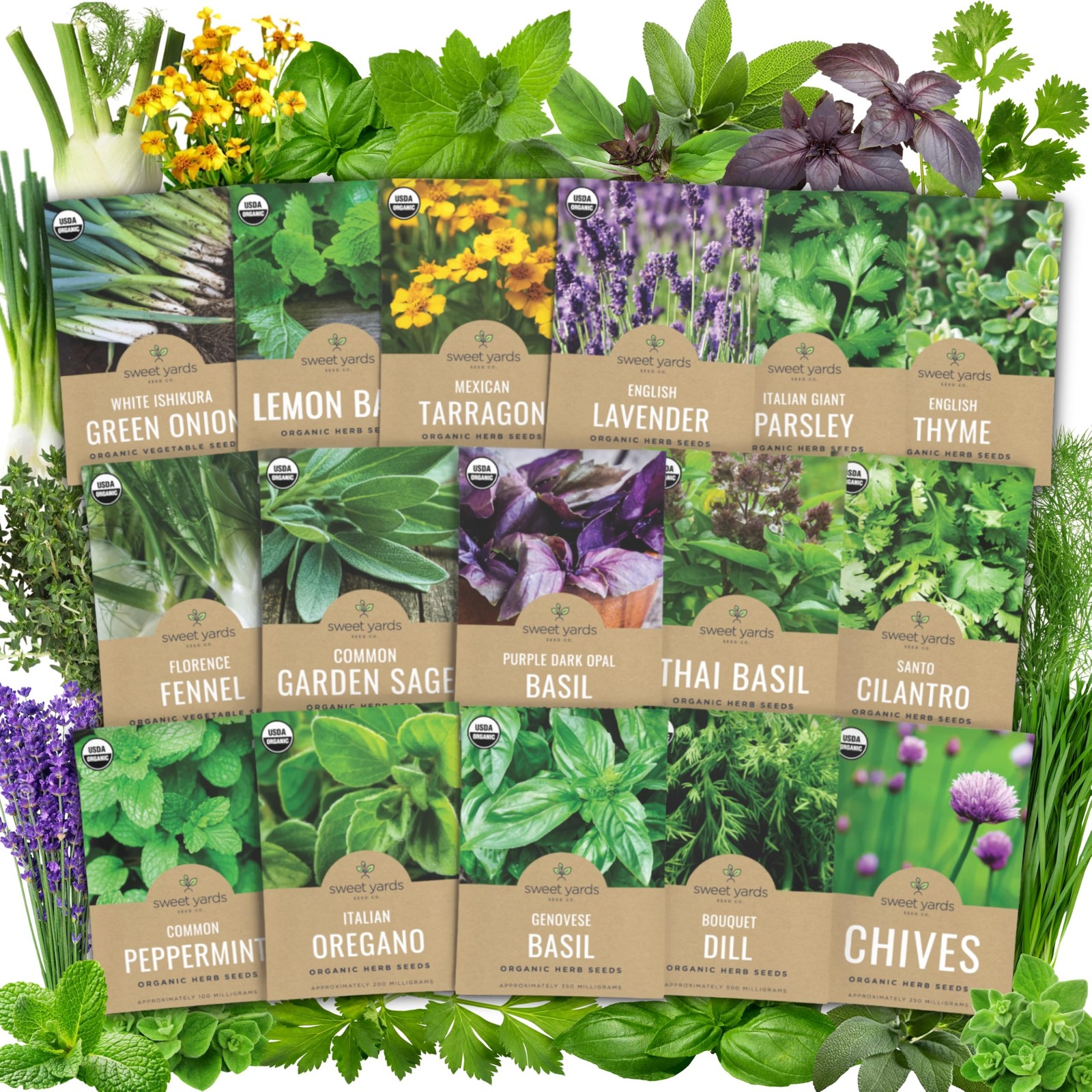 Organic Herb Seeds Variety Pack – 16 Individual 16 Varieties – Gardener