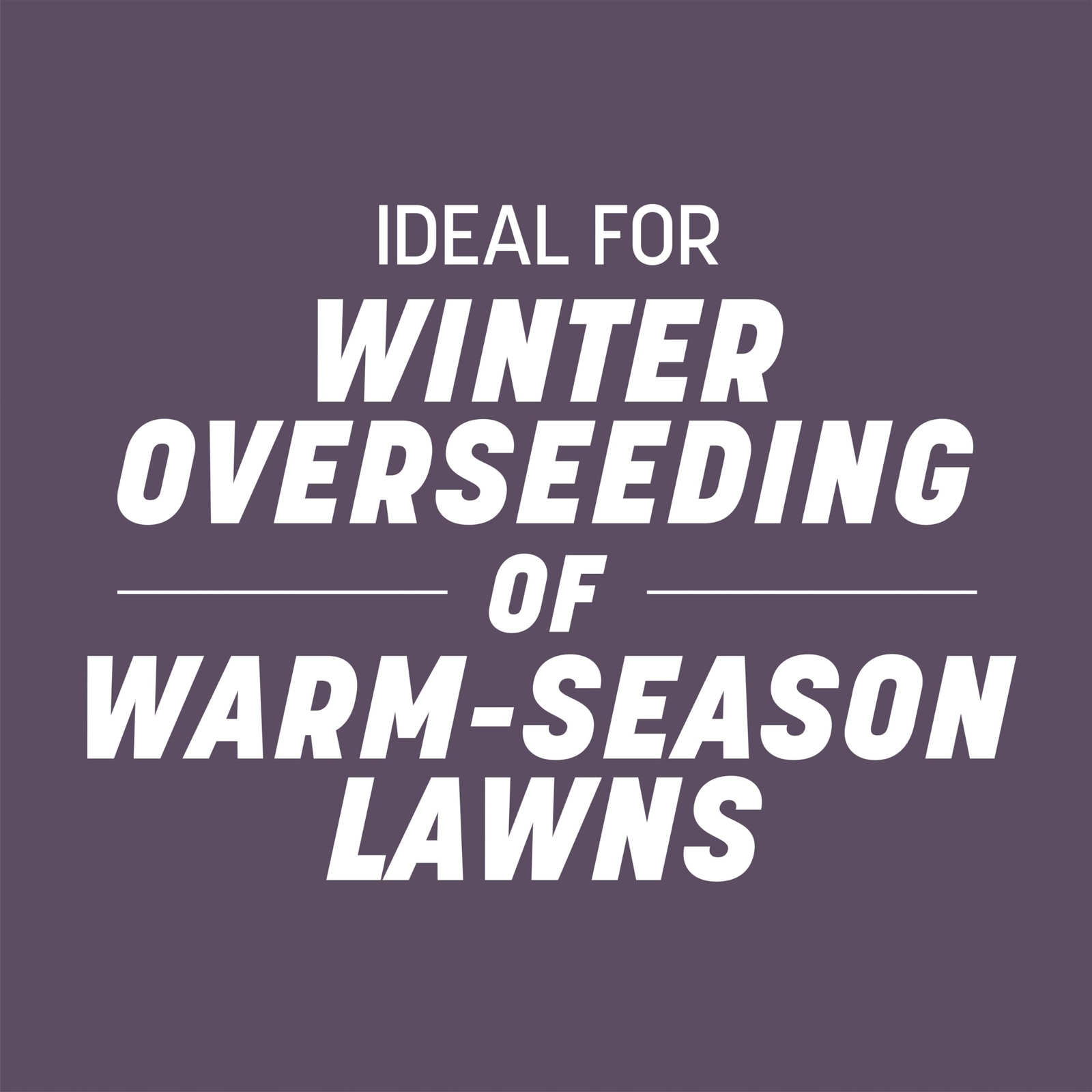 Pennington Annual Ryegrass 25 lb Bag for Overseeding Warm Season Grasses