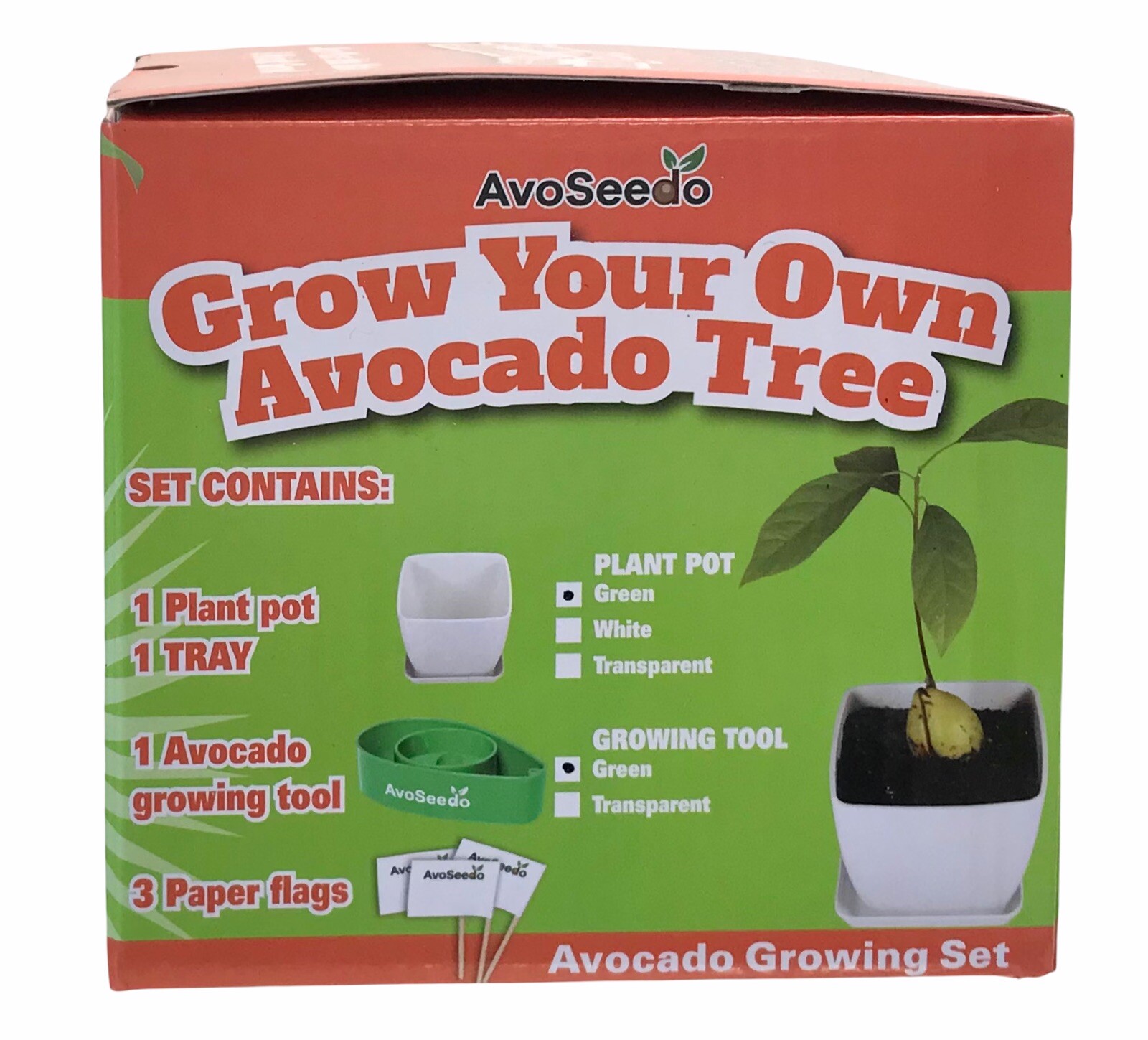 AvoSeedo Avocado Grow You Own Tree – Adult & Children – For All Ages 4+ – Gift