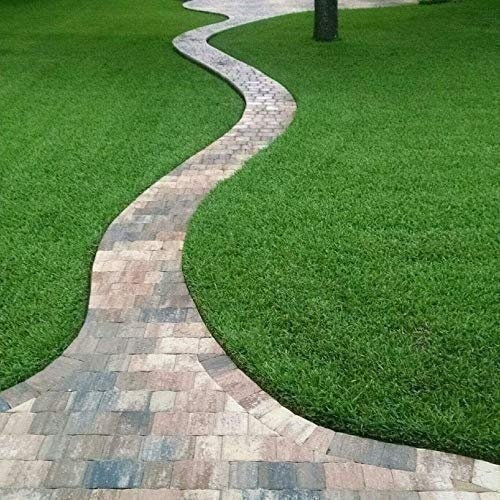 Seville | Sod Plugs | Stenotaphrum Secundatum | Low Maintenance | Hardy Lawn