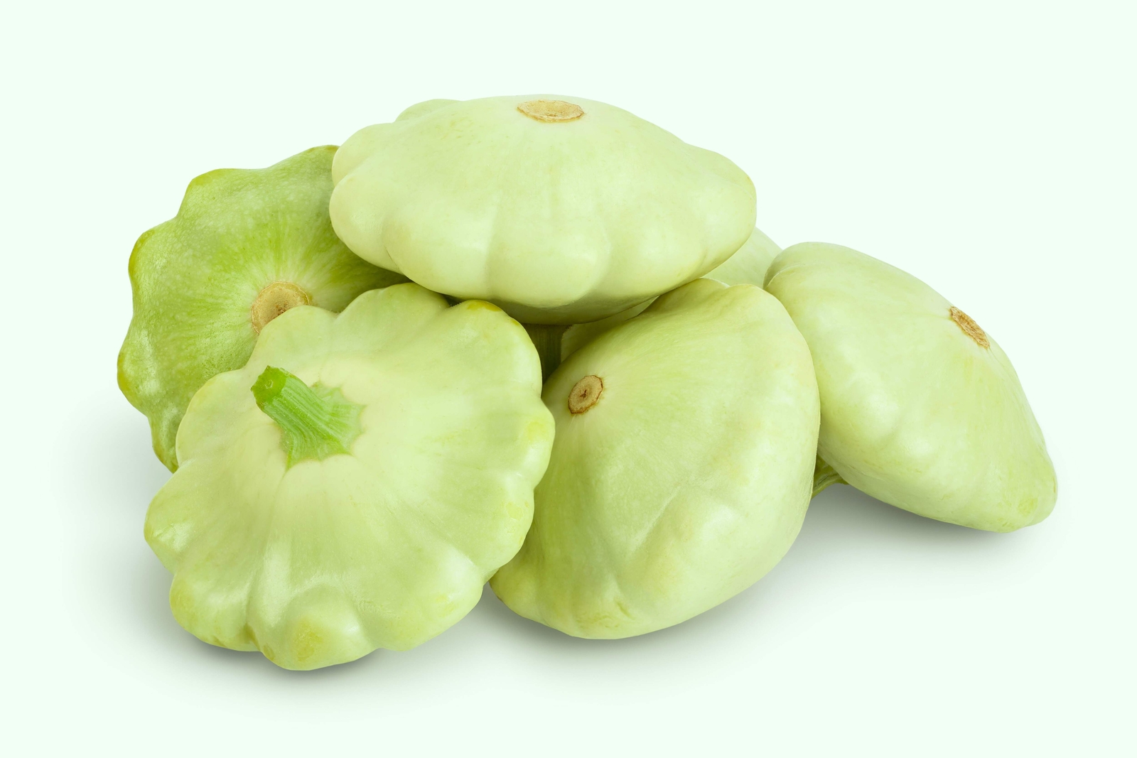 20 Green Tint BUSH SCALLOP SQUASH Patty Pan Cucurbita Pepo Vegetable Seeds
