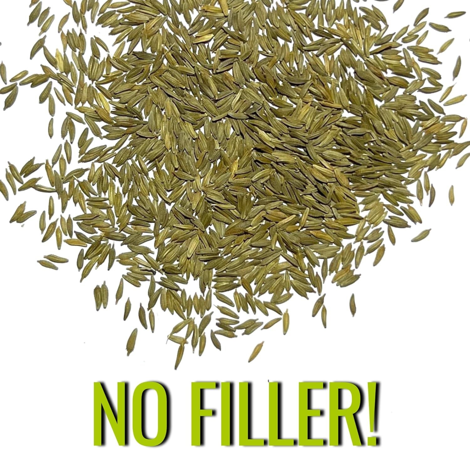 Dandelion Seeds for Planting Fresh Herbs | 10,000+ Untreated Seeds Non GMO He…