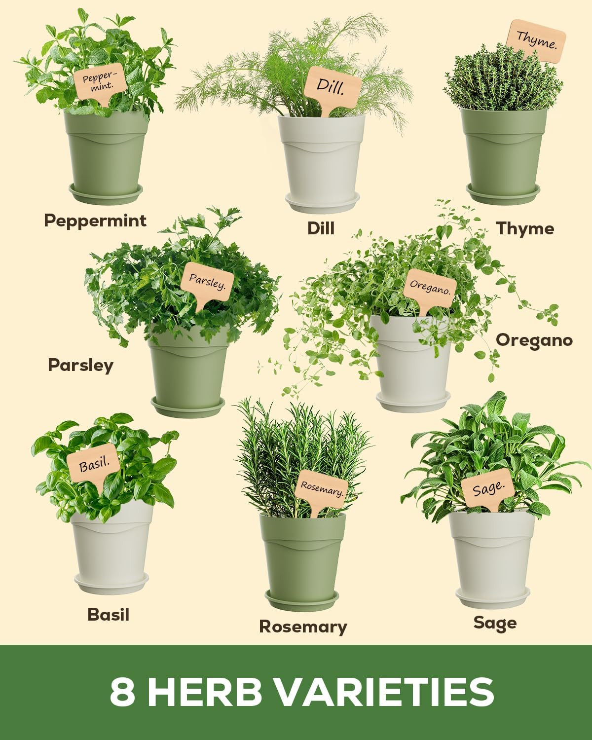 Indoor Herb Garden Kit with 8 Heirloom Seeds – Complete Windowsill Planter Start