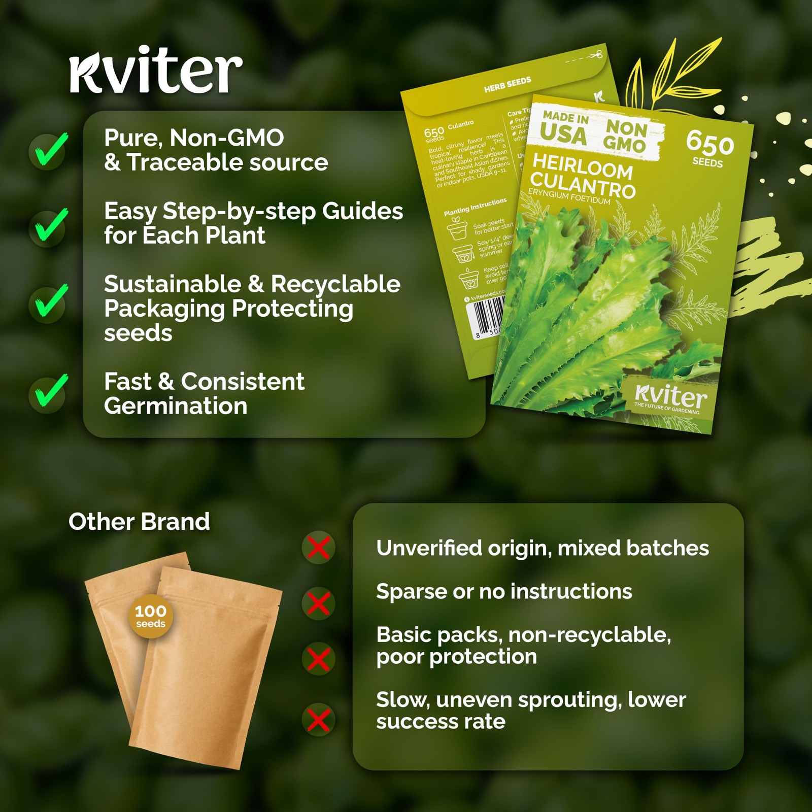 KVITER 650 Vietnamese Culantro Seeds (Eryngium Foetidum)