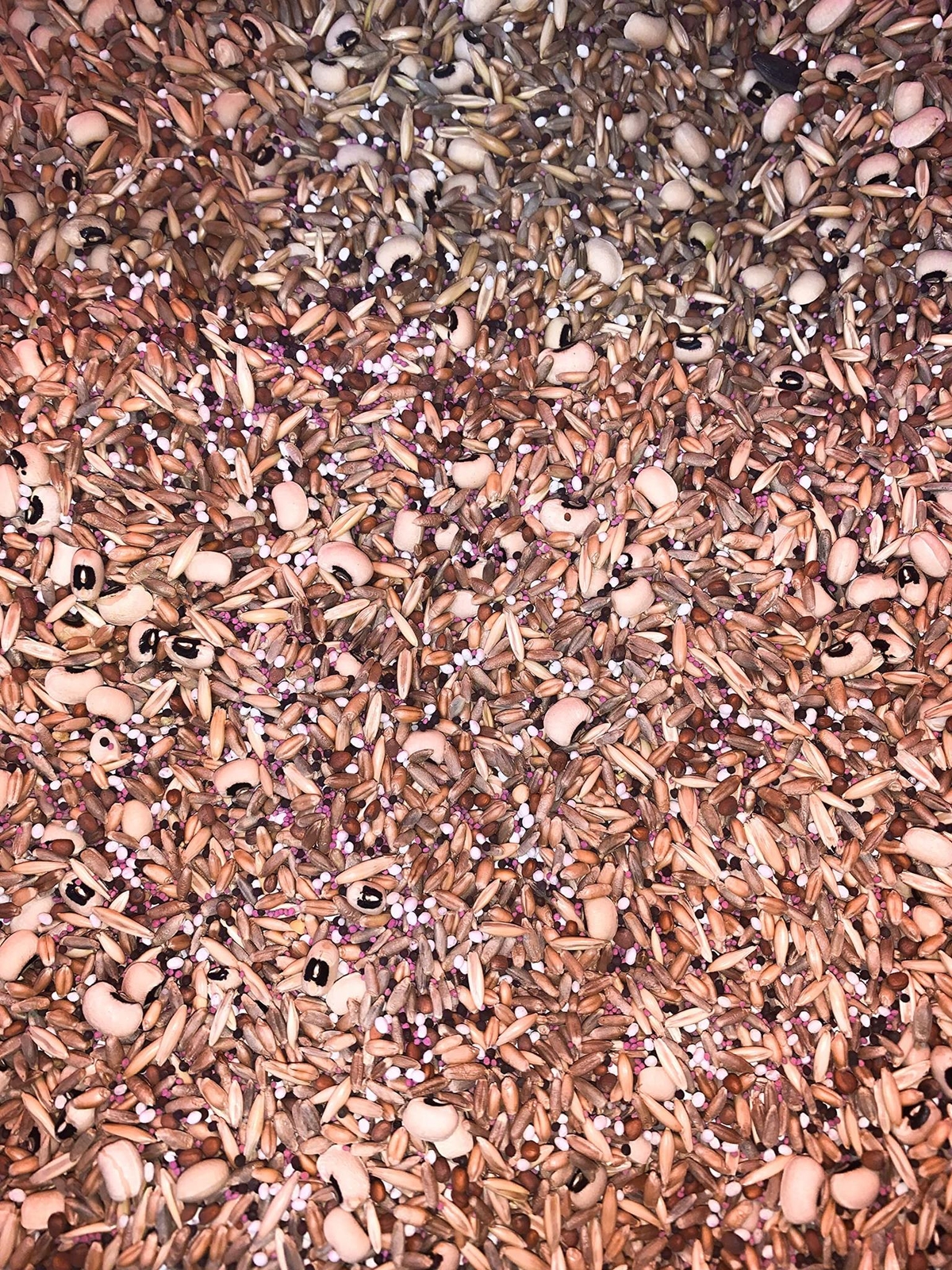 No-Till Cover Crop 10 Seed Mix – Winter Rye, White Clover, Austrian Winter Peas,