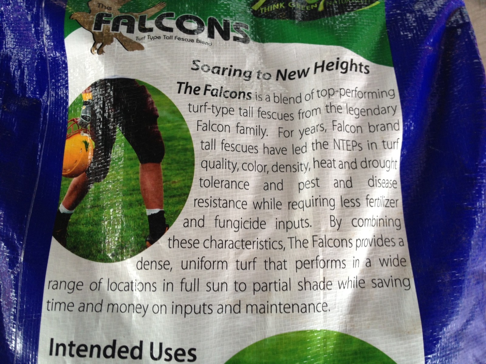1 lb Falcons Tall Turf Fescue-A Three Falcon Blend Best Lawn Grass There Is