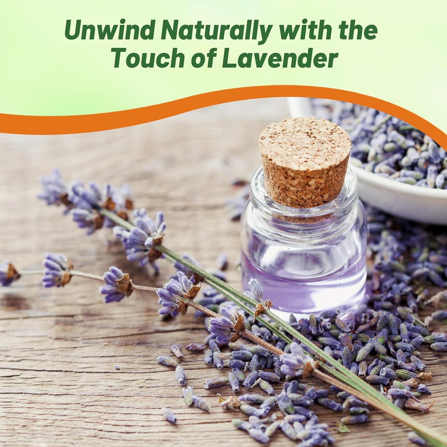10000 Seeds Lavender English Herb Plant Seed For Planting Outdoors | Vera Seeds