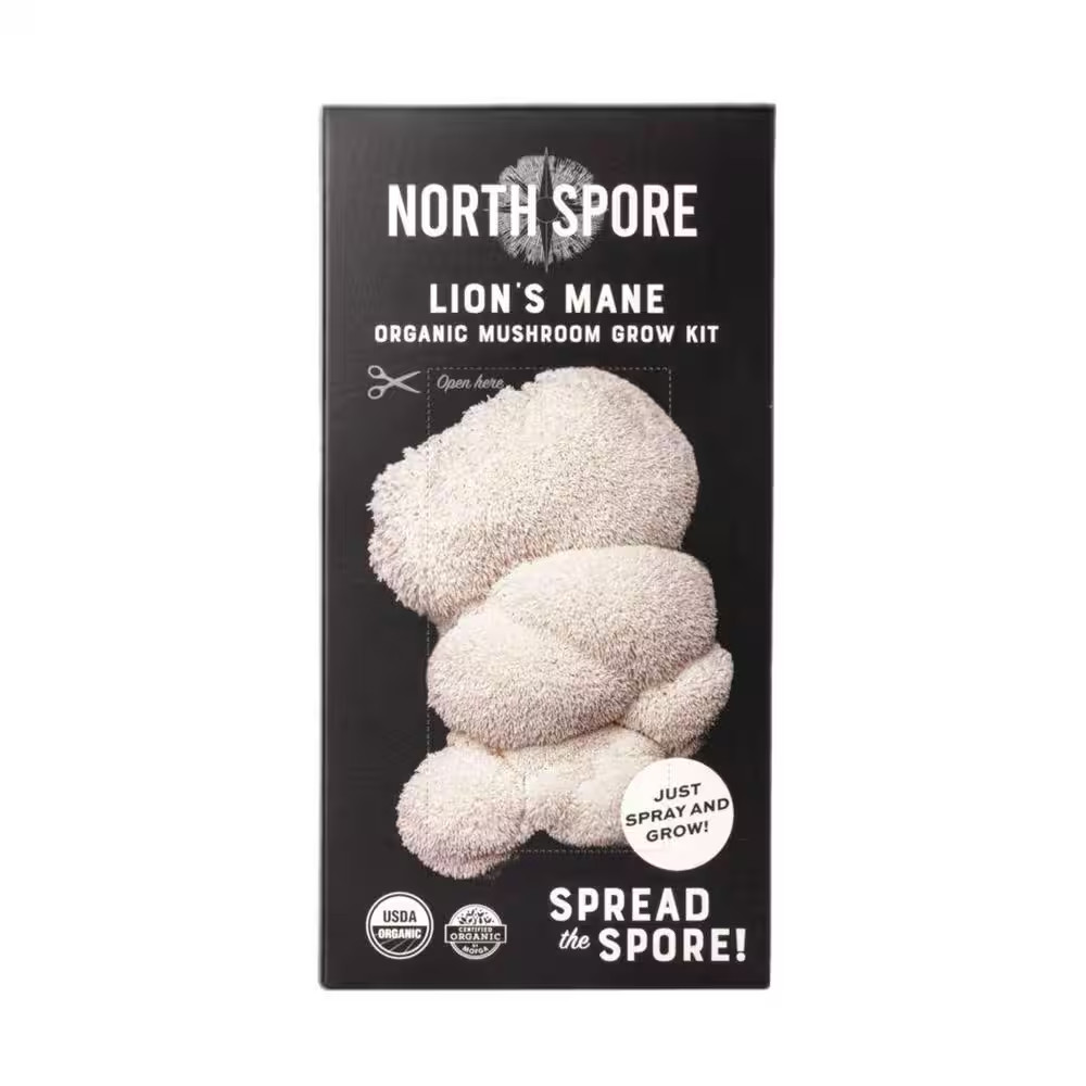 Organic Lion’S Mane Mushroom Spray and Grow