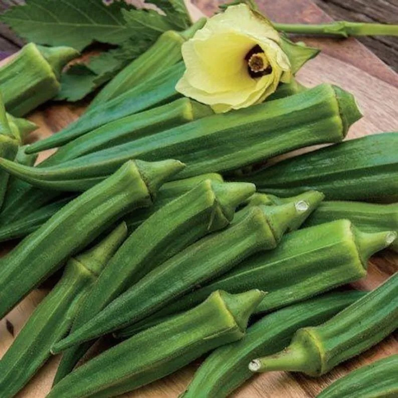 100+ Emerald Okra Seeds – HEIRLOOM – NON GMO — FRESH