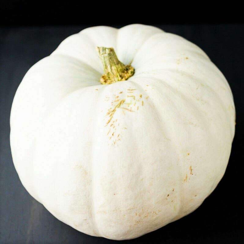 White Queen Pumpkin Seeds | Casper Ghost Lumina Polar Bear Pumpkins Seed 2025