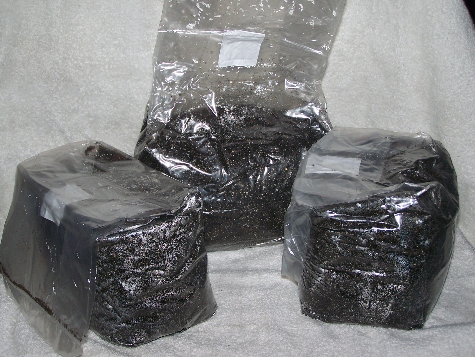 5 lbs Coconut Coir, Vermiculite And Gypsum Bulk Mushroom Substrate in Grow Bag