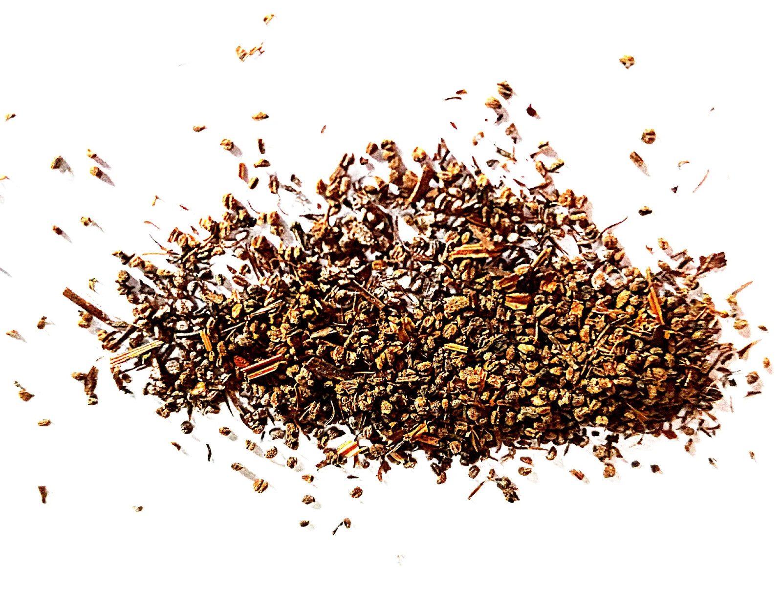 1000+ Culantro Seeds | recao | ngò gai Non-GMO Eryngium Foetidum Tropical Herb