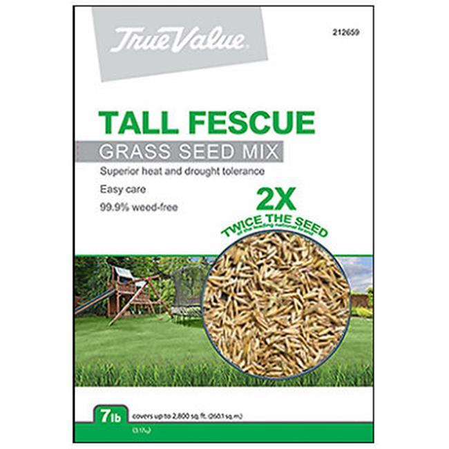 Barenbrug USA TVTF7 Tv 7 lb Tall Fescue Seed