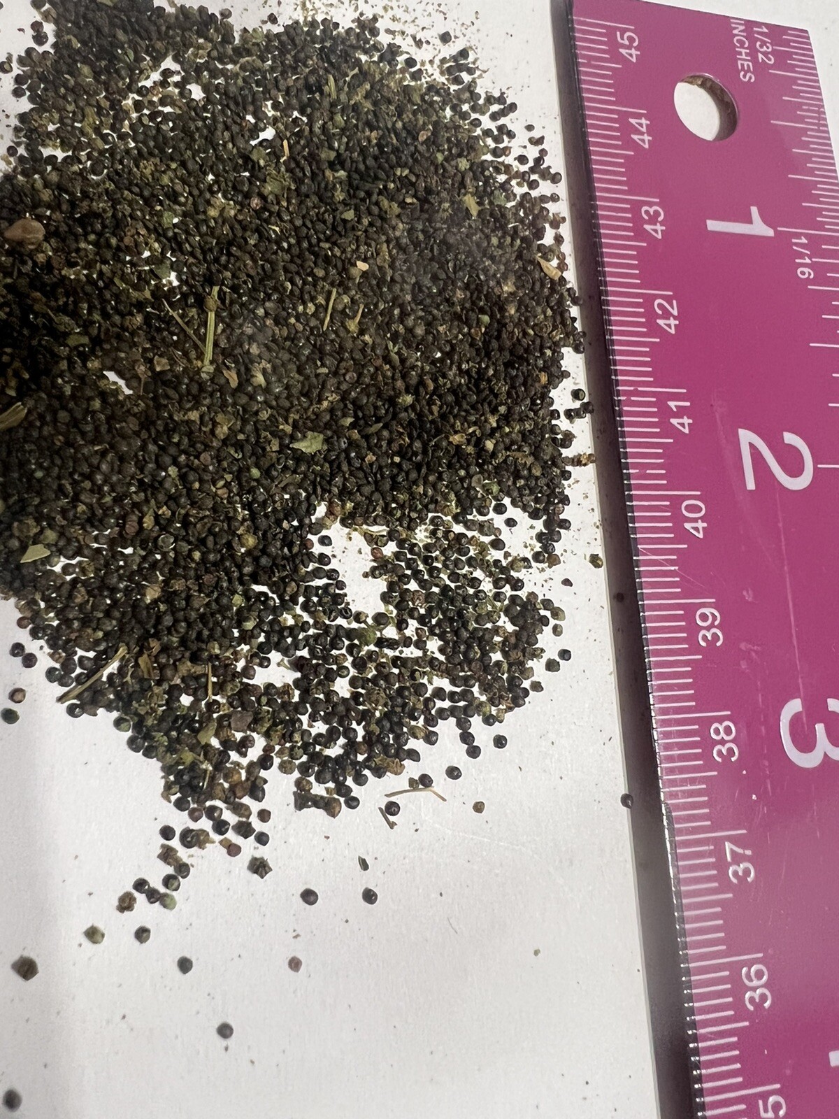 Lambs Quarter, Pigweed, WildSpinach, GooseFoot, 2,500 Seeds NO GMO